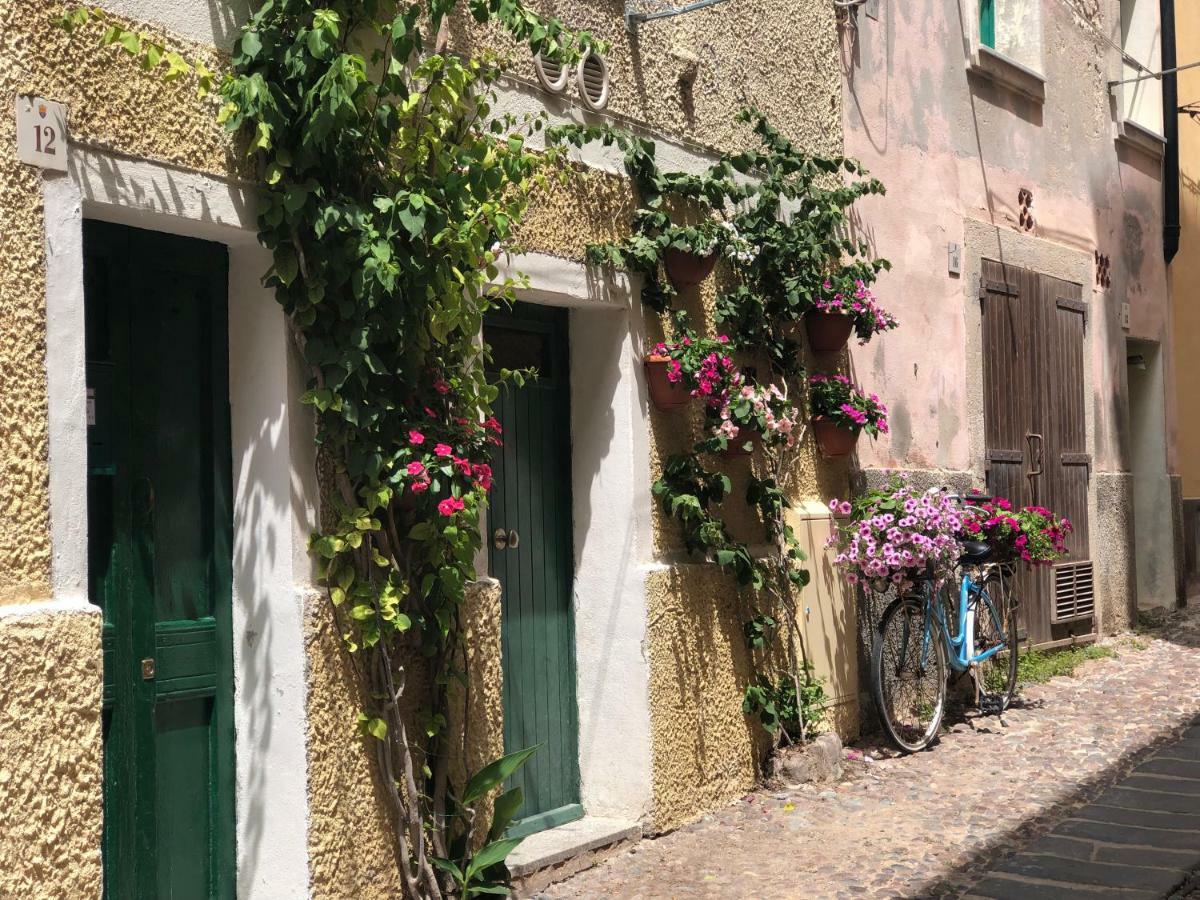Protea House Apartment Alghero Luaran gambar